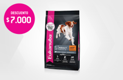 Imagen promoción Eukanuba Adulto Medium Breed 