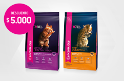 Imagen promoción Eukanuba Gato kitten &amp;amp; Adulto