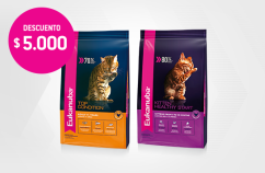 Imagen promoción Eukanuba Gato kitten &amp;amp; Adulto 