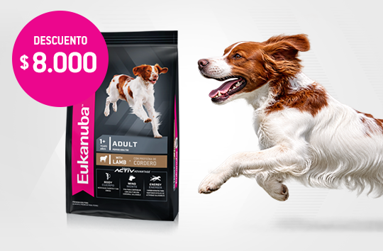 Imagen promoción Eukanuba Lamb Adulto 